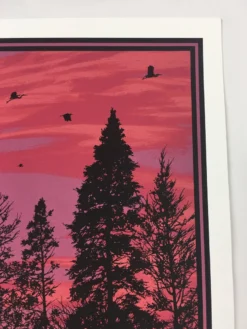 Art Prints Big Birds Flying Across The Sky - 2011 Dan McCarthy Poster Art Print