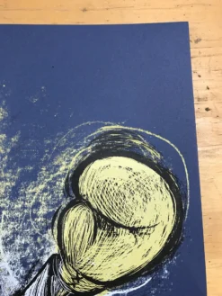 Alabama Shakes - 2016 Dan Grzeca Poster Chicago Civic Opera House