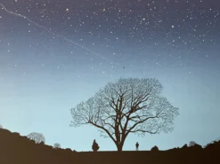 Art Prints Don Stepped Outside - 2005 Dan McCarthy Poster Art Print