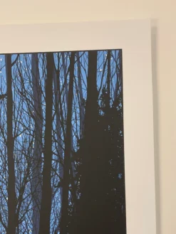 A Night In The Forest - 2010 Dan McCarthy Poster Art Print