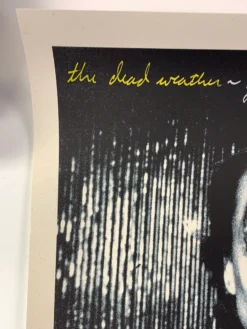 The Dead Weather 2009 Rob Jones Poster (with Damage) Chicago Vic Night 2 S/N Chicago, IL