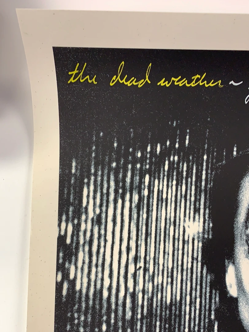 The Dead Weather 2009 Rob Jones Poster (with Damage) Chicago Vic Night 2 S/N Chicago, IL