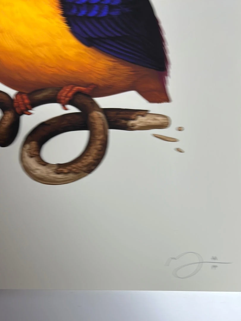 Fat Bird - 2020 Mike Mitchell Poster Rufous-Backed Dwarf Kingfisher AP Art Prints
