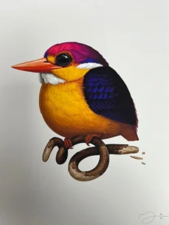 Fat Bird - 2020 Mike Mitchell Poster Rufous-Backed Dwarf Kingfisher AP Art Prints