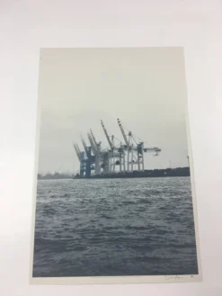 Cranes - 2011 Dan MacAdam Crosshair Poster Art Print Art Prints