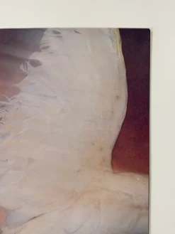 Rufus Wainwright - 2002 Scott Idleman Poster Fillmore Auditorium San Fran 1st Gig Posters