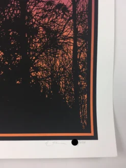 Art Prints Big Birds Flying Across The Sky - 2011 Dan McCarthy Poster Art Print