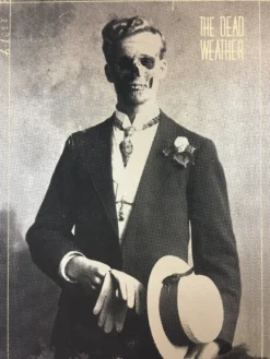 Gig Posters The Dead Weather - 2010 Mark McDevitt Poster Albuquerque, NM Sunshine Theatre