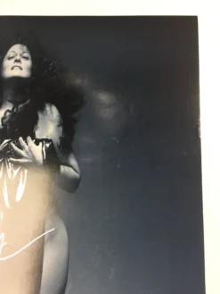 Sold Out Posters Salome - 2006 - 2007 Poster Chicago, IL Lyric Opera Of Chicago