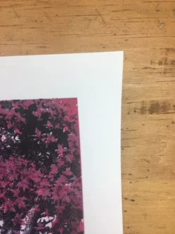 The Three Voices - 2013 JC Richard Art Print Art Prints