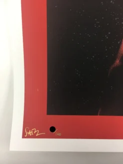 Birth Of A Phoenix #1 - 2010 Todd Slater Poster Art Print Art Prints