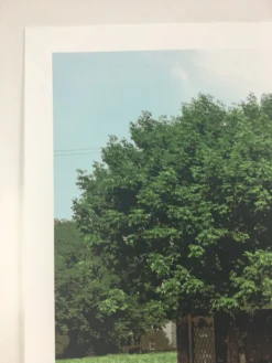 Flatstock 40 - 2013 Dan MacAdam Crosshair Poster Chicago, IL Union Park