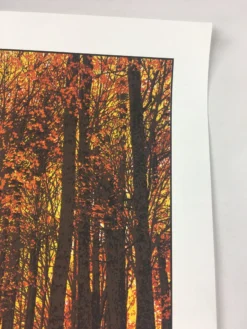 Art Prints Elder Days - 2010 Dan McCarthy Poster Art Print