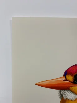 Fat Bird - 2020 Mike Mitchell Poster Rufous-Backed Dwarf Kingfisher 1st Art Prints