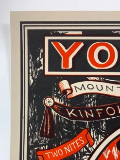 Yonder Mountain String Band - 2009 Johnny Sampson Poster Chicago, IL 420 Posters
