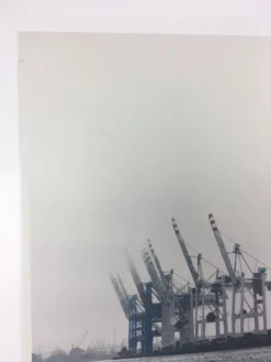 Cranes - 2011 Dan MacAdam Crosshair Poster Art Print Art Prints