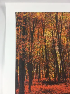 Art Prints Elder Days - 2010 Dan McCarthy Poster Art Print