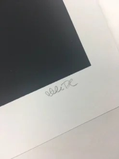 Untitled (Psych Drac) - 2008 Mike Budai Poster Art Print Art Prints