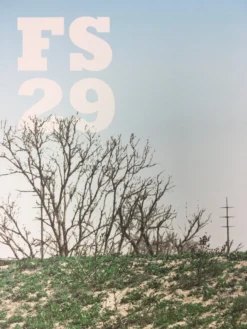 Flatstock 29 - 2011 Dan MacAdam Crosshair Poster Austin, TX Austin Convention Ce Gig Posters