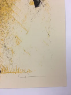 Land Of Lincoln - 2015 Dan Grzeca Poster Art Print Yellow