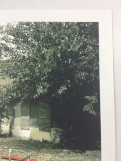 The Vaselines - 2009 Dan MacAdam Crosshair Poster Chicago, IL Metro