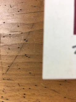 Tom Petty - 2017 Dan Stiles Poster S/N Oklahoma City, OK 40th Anniversary Tour