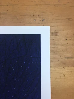 Flatstock 13 - 2007 Daniel Danger Poster Chicago, IL Union Park