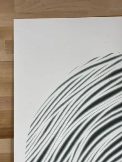 The Light We Reflect - 2021 Jay Ryan Poster Art Print