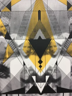 Gig Posters Santigold - 2012 Delicious Design League Poster George, WA Sasquatch! Music Fest