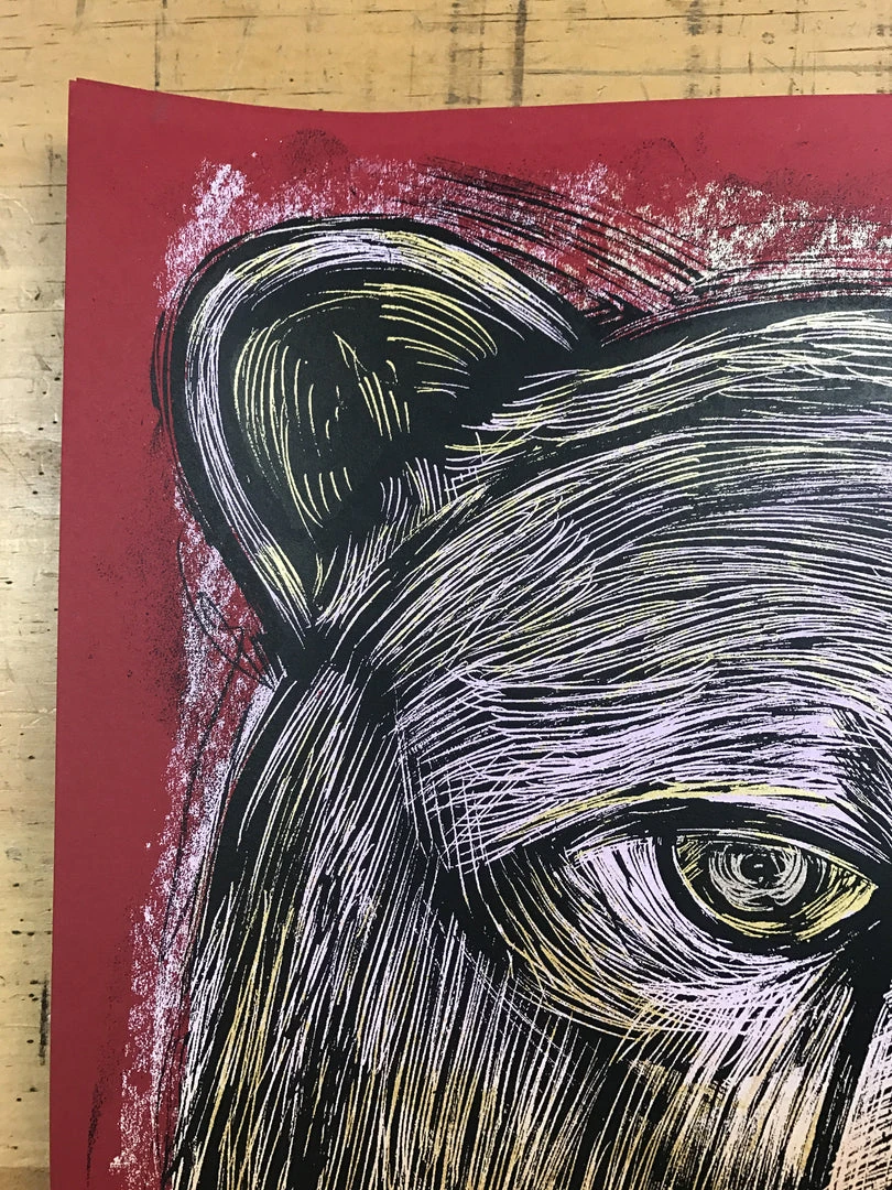 Gig Posters Umphrey's McGee - 2016 Dan Grzeca Poster Charlotte, NC Fillmore