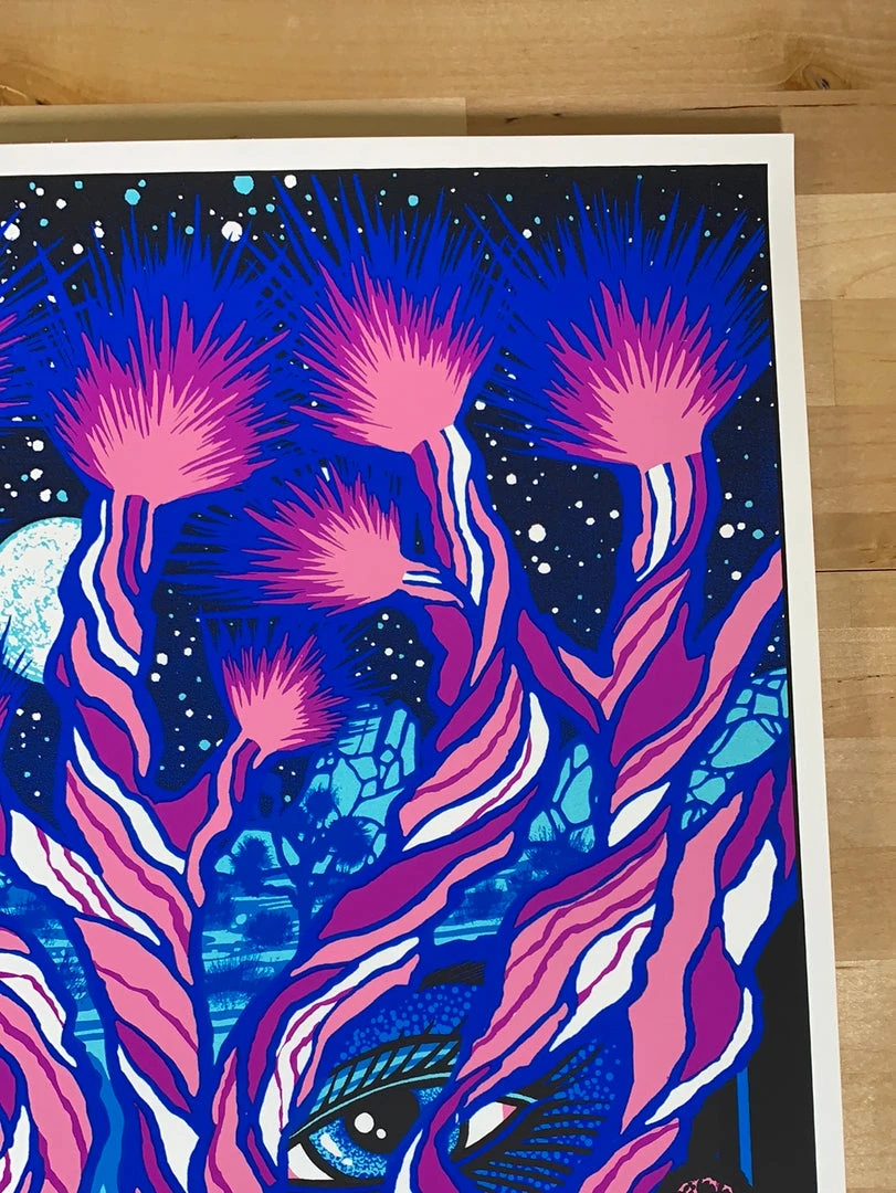 Iggy Pop - 2016 Brad Klausen Poster Philadelphia, PA