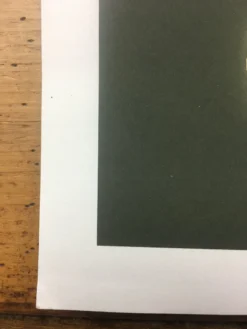 Gig Posters Pearl Jam - 2005 Brad Klausen Poster South America