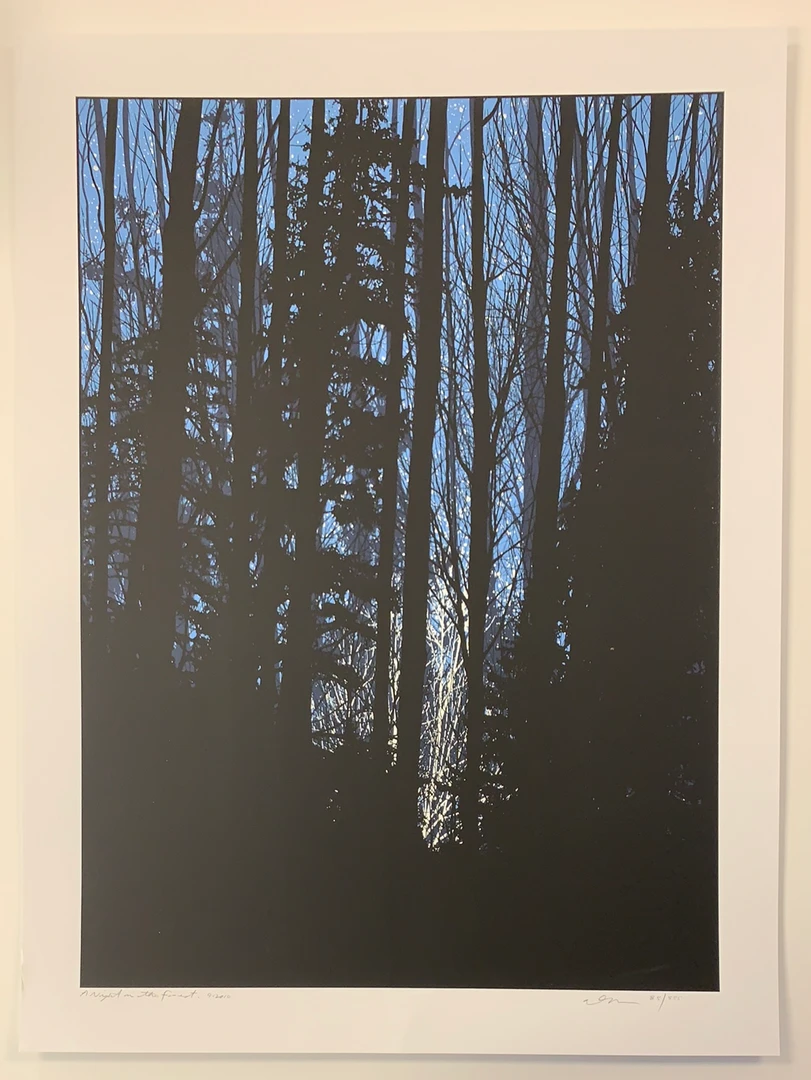 A Night In The Forest - 2010 Dan McCarthy Poster Art Print