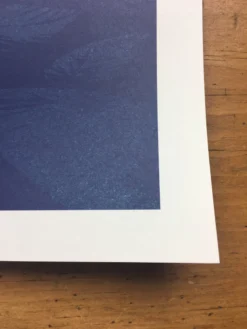 Dave Matthews Band - 2018 Matt Fleming Poster Quebec City, CAN Quebec City Summe