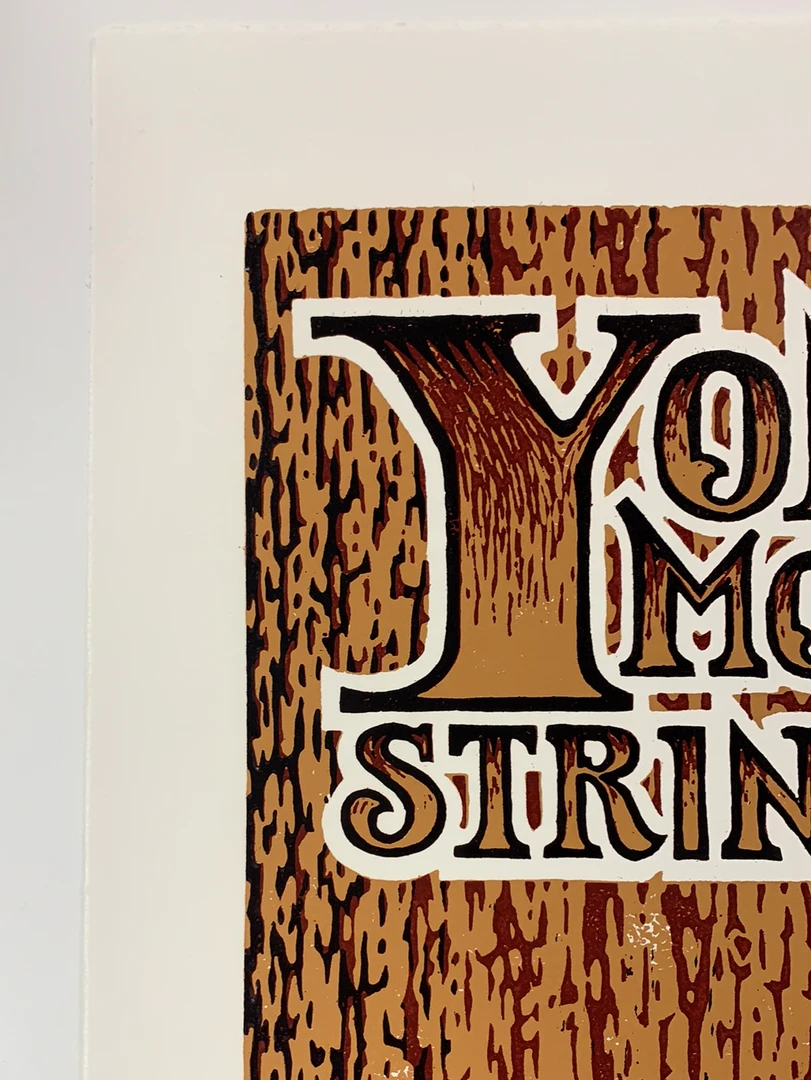 Yonder Mountain String Band - 2009 Timothy Ripley Poster Washington, DC Gig Posters