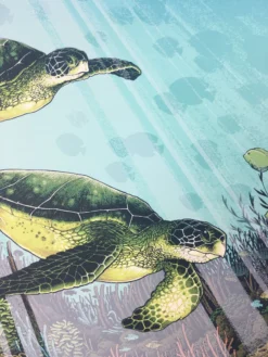 Biscayne National Park - 2016 Justin Santora Poster Art Print Art Prints