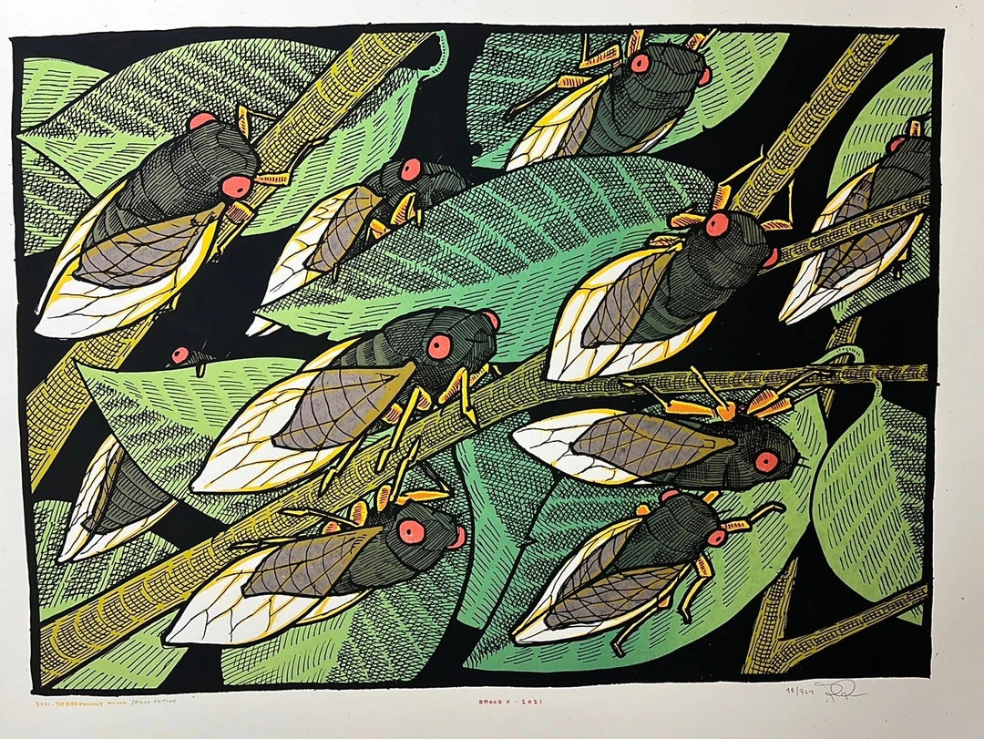 Art Prints Brood X - 2021 Jay Ryan Poster Art Print 2nd Ed