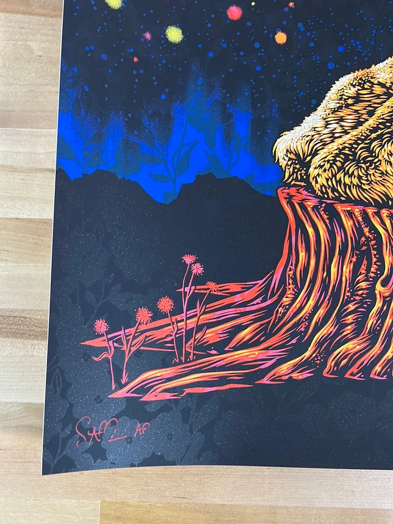 Colorado Norah Jones - 2019 Todd Slater Poster Red Rocks Morrison, CO AP