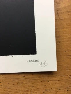 Umphrey's McGee - 2016 Delicious Design League Poster Madison, WI Orpheum Theate