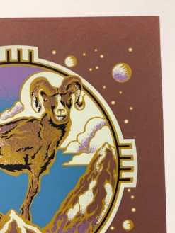 Yonder Mountain String Band - 2005 Gary Houston Poster Spring Tour