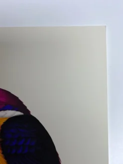 Fat Bird - 2020 Mike Mitchell Poster Rufous-Backed Dwarf Kingfisher AP Art Prints