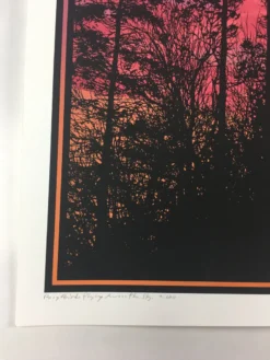 Art Prints Big Birds Flying Across The Sky - 2011 Dan McCarthy Poster Art Print