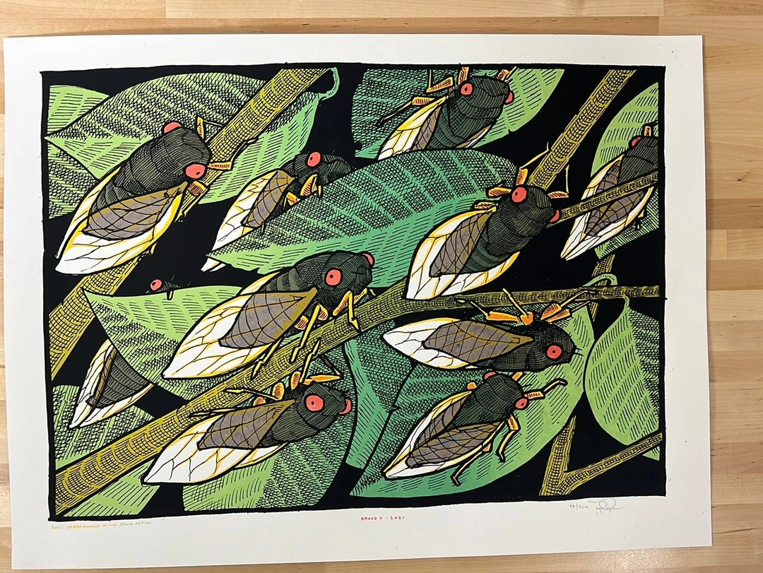 Art Prints Brood X - 2021 Jay Ryan Poster Art Print 2nd Ed