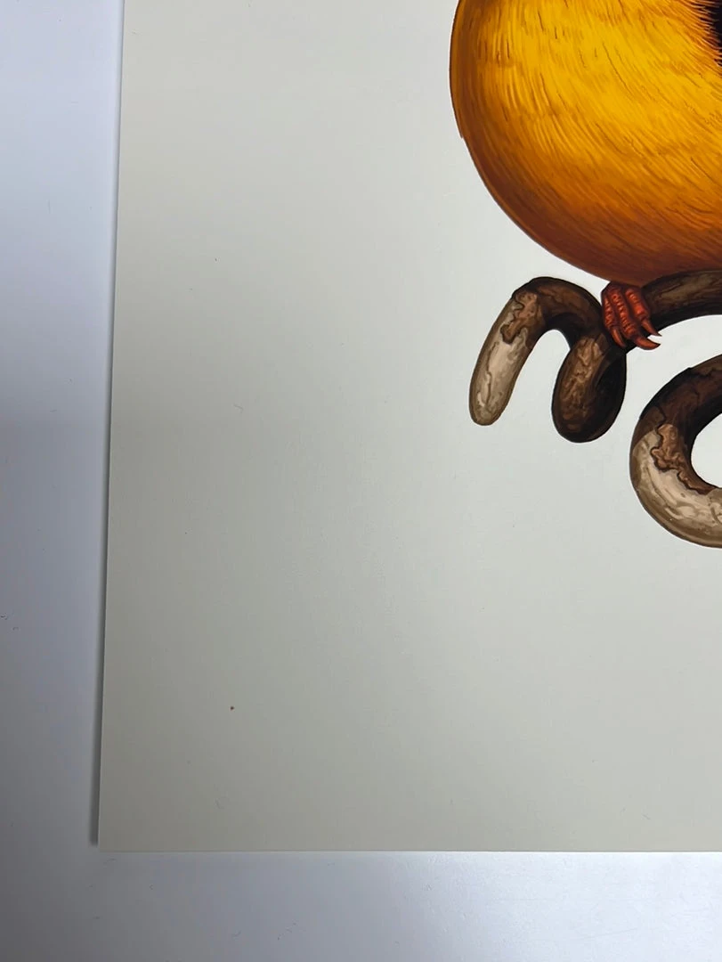 Fat Bird - 2020 Mike Mitchell Poster Rufous-Backed Dwarf Kingfisher AP Art Prints