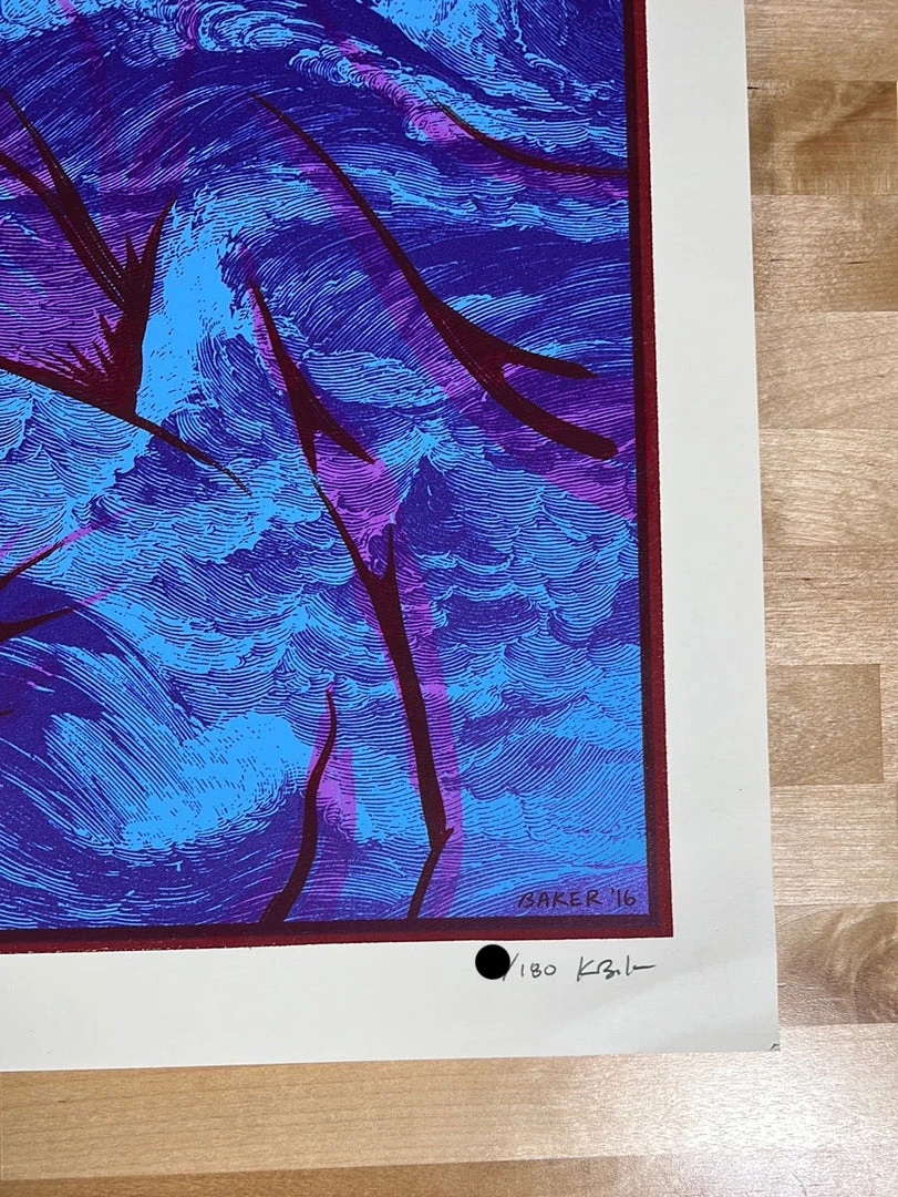 The Wood Brothers - 2016 Kyle Baker Poster Northeast Tour