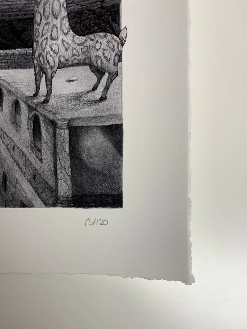 Art Prints Freda And The Hidden City - 2021 David Welker Poster, Art Print