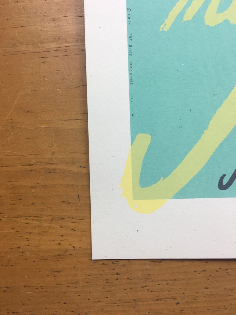 The Soft Pack - 2010 Jay Ryan Poster Chicago, IL Schubas