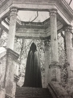 Gig Posters The Dead Weather - 2009 Todd Slater Poster Seattle, WA Paramount Theatre