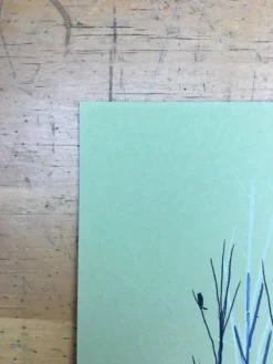 Flatstock 21 - 2009 Jay Ryan Poster Chicago, IL Union Park