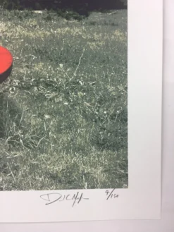 The Vaselines - 2009 Dan MacAdam Crosshair Poster Chicago, IL Metro